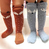 Socks - Trend Socks