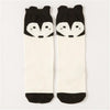 Socks - Trend Socks